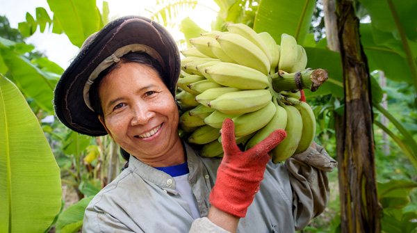donna con casco di banane