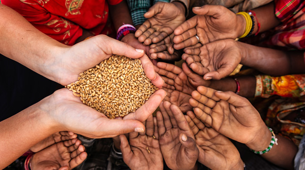 mani che porgono cereali