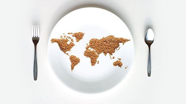 posate e piatto con disegnato mondo