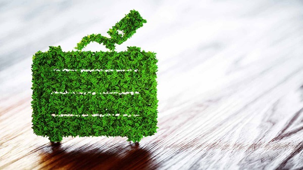 valigia fatta con foglie verdi