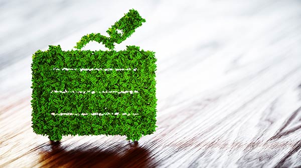 valigia fatta con foglie verdi